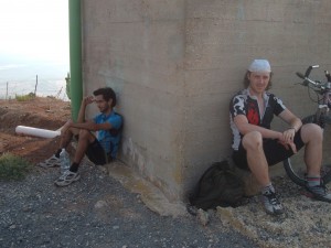 חמרמורת של בוקר