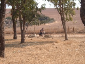 חורש בלב מדבר